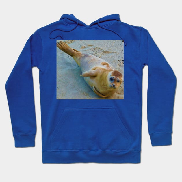 Seal of approval Hoodie by FriendlyComputerHelp